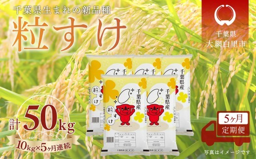 
                  ＜5か月定期便＞ 千葉県産「粒すけ」精米 10kg×5か月連続 計50kg
                