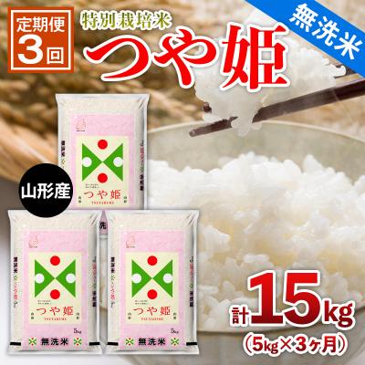 ふるさと納税 山形市 【定期便3回】山形産 特別栽培米 【無洗米】つや姫 5kg×3ヶ月(計15kg) FZ26-894