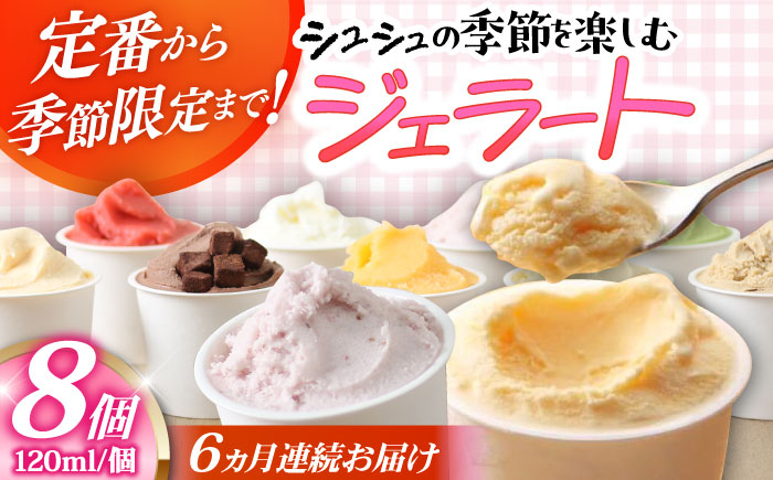 
                  【6回定期便】シュシュ 季節のジェラート8個セット / アイス アイスクリーム ジェラート スイーツ /  大村市 / おおむら夢ファームシュシュ [ACAA418]
                