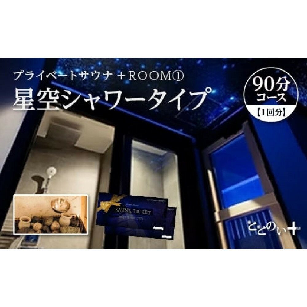 【ふるさと納税】ととのい+（1名）ROOM1 星空シャワータイプ 90分コース　1回分　