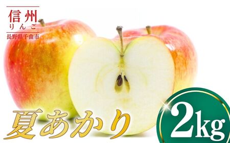 【2026年先行予約】りんご 夏あかり2kg ｜ りんご