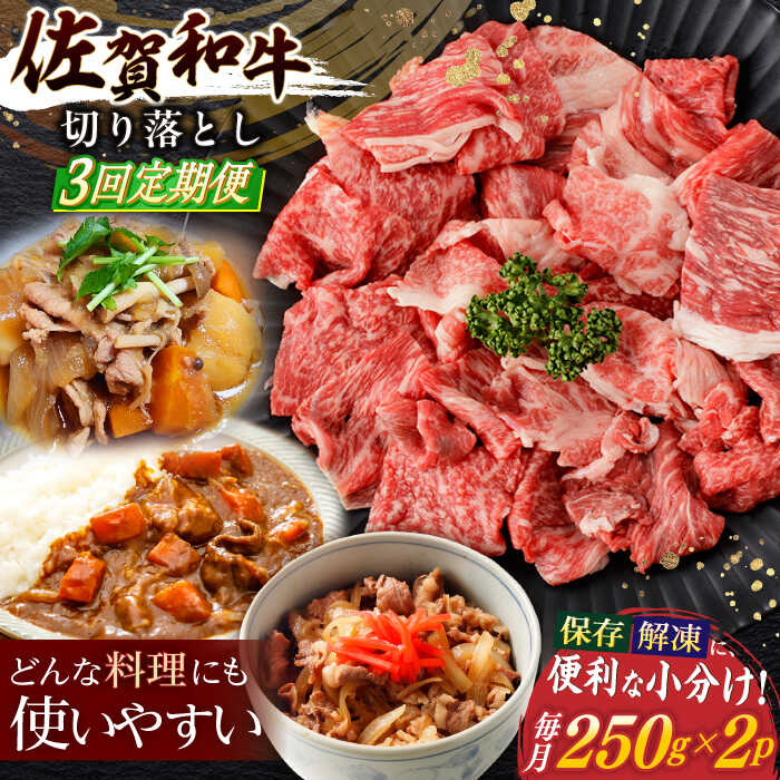 【ふるさと納税】【3回定期便】佐賀和牛 切り落とし 計500g(250g×2p)【一ノ瀬畜産】[NAC162]