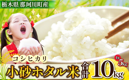 小砂 ホタル米 10kg (こしひかり）