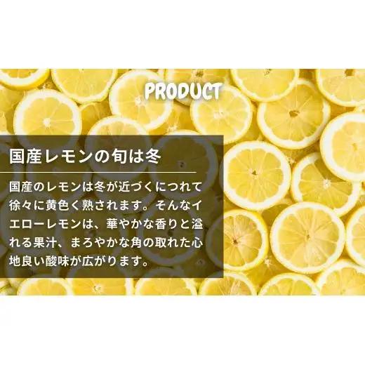 芳醇! 文田農園のレモン 約3kg 【2027年 1～2月発送】