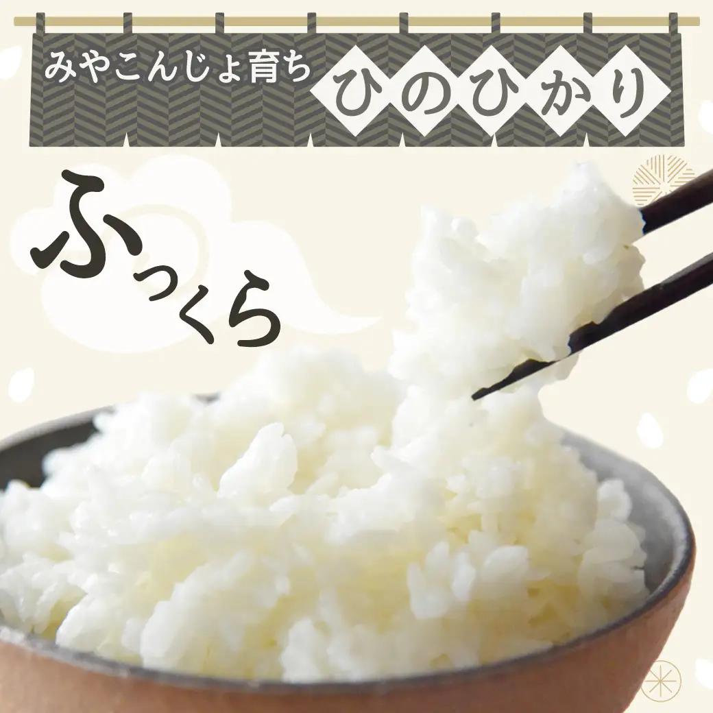 みやこんじょ育ち都城産ひのひかり20kg≪みやこんじょ特急便≫〔55-K701-Q〕_(都城市) 都城産 ひのひかり 20kg 5kg×4袋 田園 霧島裂罅水 土づくり こだわり 都城米 甘み 旨味 