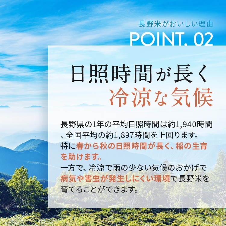信州米 こしひかり 白米