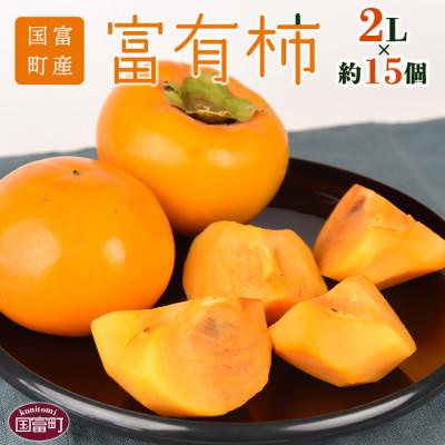 ふるさと納税 国富町 富有柿　2Lサイズ15個入り　4kg　宮崎県国富町