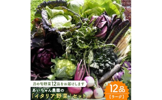 
										
										【12品】あいちゃん農園の「イタリア野菜」セット（ラージ） [FAA021]
									