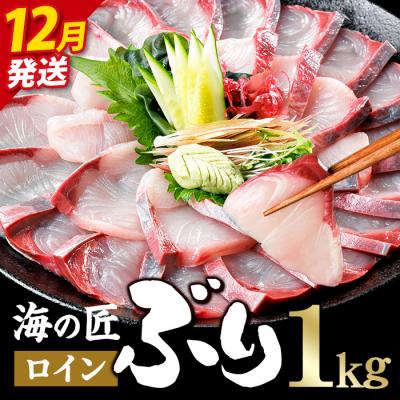 ふるさと納税 佐伯市 <先行予約受付中!2026年12月以降順次発送予定!>海の匠 ブリ スキンレスロイン (1kg)