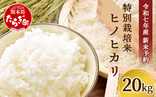 【令和7年 新米予約】特別栽培米「ヒノヒカリ」20kg 精米 井上農園 10月より順次出荷 熊本県 お米 白 米 精米 ひのひかり 国産 114-0603