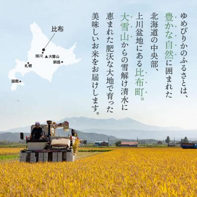 ふるさと納税 比布町 【令和8年産 新米受付】ゆめぴりか 玄米 20kg【久保農園】 1004-010 |  | 01