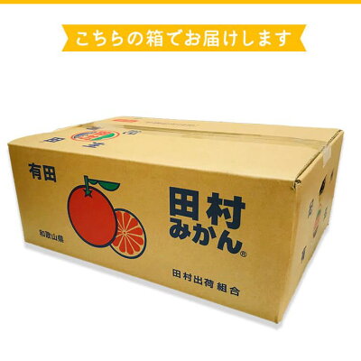 AB7113n_【和歌山特産品】【プレミアムブランド】絶品！ 田村みかん  秀品 2Sサイズ 約5kg