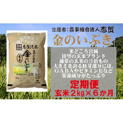 ふるさと納税 岩沼市 【令和7年産新米】【6ヶ月定期便】玄米 金のいぶき 2kg [No.5704-0804] |  | 01