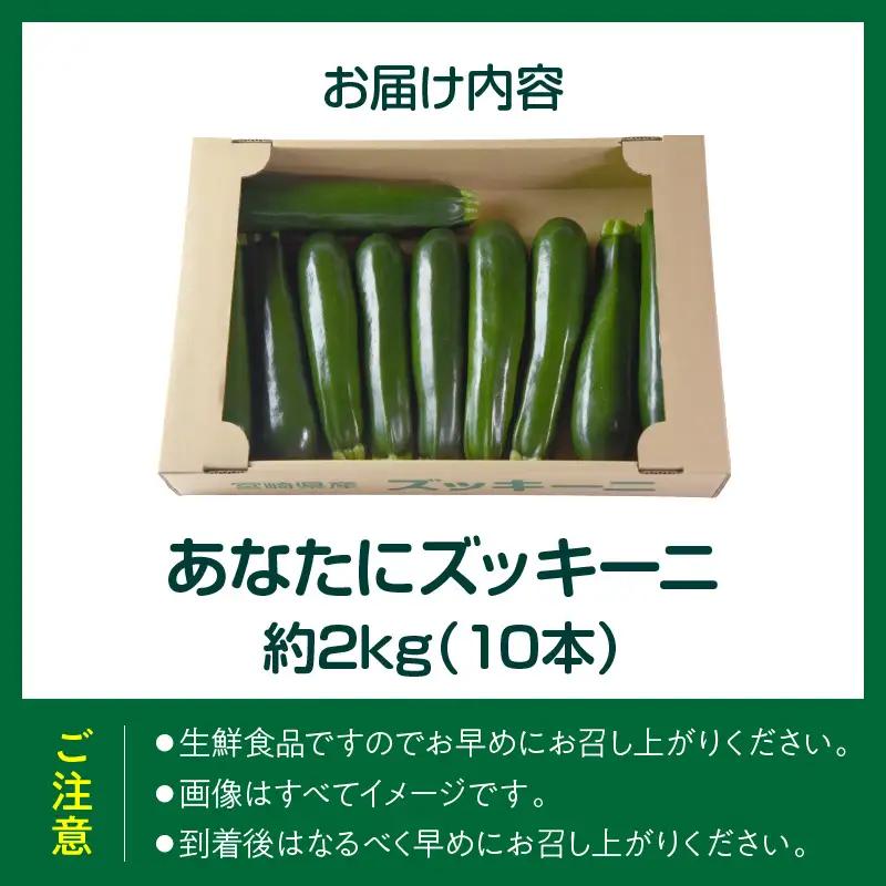 野菜ソムリエサミット銀賞受賞！ あなたにズッキーニ約2kg（10本）_kn109-001