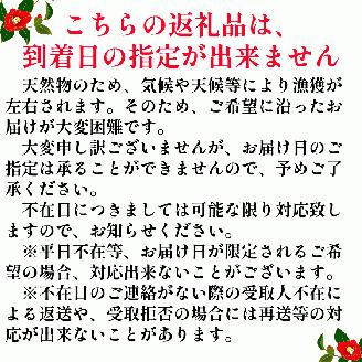 土佐清水産天然ぶり まるごと１本（5kg～8kg）下処理なし（内臓除去無し）【令和6年3月下旬以降発送※着日指定不可※】先行予約 鮮魚 ぶり大根 刺身 ぶりしゃぶ【R00873】