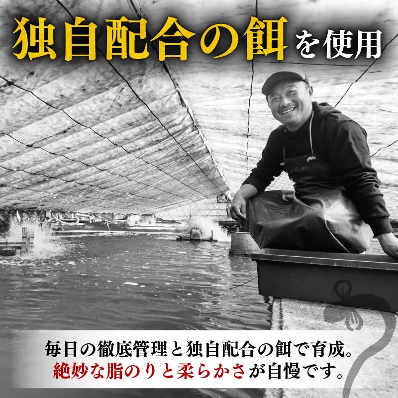 うなぎ きざみうなぎ 500g 国産 【うなぎ蒲焼】