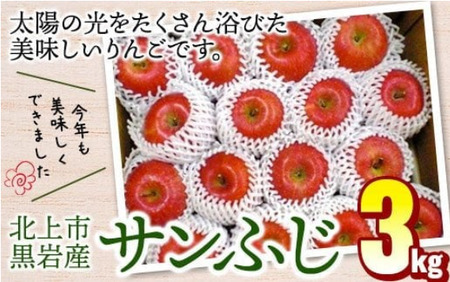 りんご サンふじ 約3kg  林檎 11月下旬 から発送開始 フジ さんふじ 贈答 お歳暮 ギフト 冬の贈り物 プレゼント 厳選 甘い 冬 果物 フルーツ おやつ 家庭 贈答 のし 季節 リンゴ 林檎 くろいわ産直 岩手県 北上市 D0542 国産 フルーツ 林檎 アップル
