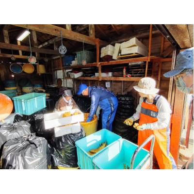 ふるさと納税 美浜町 【舟小屋熟成】日の出屋特製 鯖のへしこ(姿) |  | 02