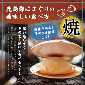 はまぐり 鹿島灘産 18粒以上 【 はまぐり 】