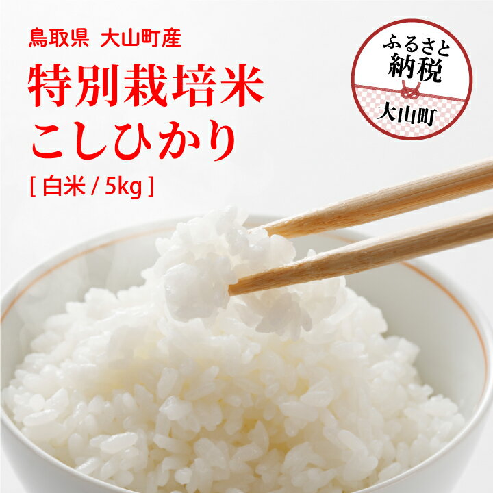 【ふるさと納税】MR-11　減農薬・減化学肥料　特別栽培米こしひかり　5kg（白米） 米 料理用 家庭用 鳥取県 鳥取県産 大山町 大山 大入り 料理 国産 鳥取 コシヒカリ こしひかり 大山産
