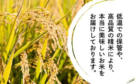 【令和7年産 新米！！2025年9月10日以降順次発送】　丹波篠山産特Aランク越光（５kｇ×３袋） 白米 100％単一原料米 産地直送米 贈答 おいしいコシヒカリ お米 精米 コシヒカリ ブランドコシ