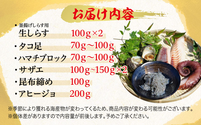 【お中元対象】新鮮なお魚盛りだくさん！海鮮詰合せ「梅」 魚介類 海産物 海鮮 刺身 広島 ＜七宝丸＞江田島市 [XBY001]