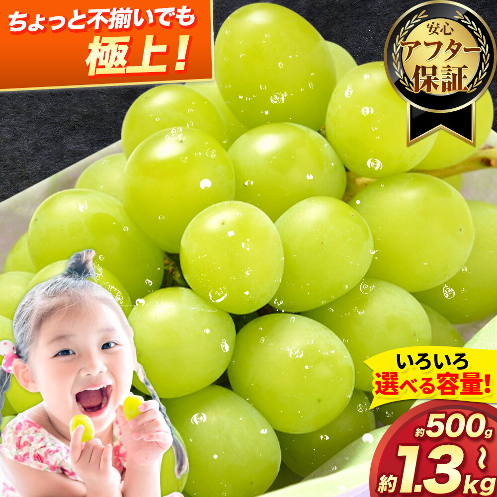 【ふるさと納税】不揃いでも味は極上! ご家庭用 シャインマスカット約500g or 約650g or 約1kg or 約1.3kg 選べる 内容量 《2026年8月上旬-8月下旬頃出荷》訳あり シャイン マスカット わけあり シャインマスカット わけあり ぶどう 葡萄 【楽天限定】