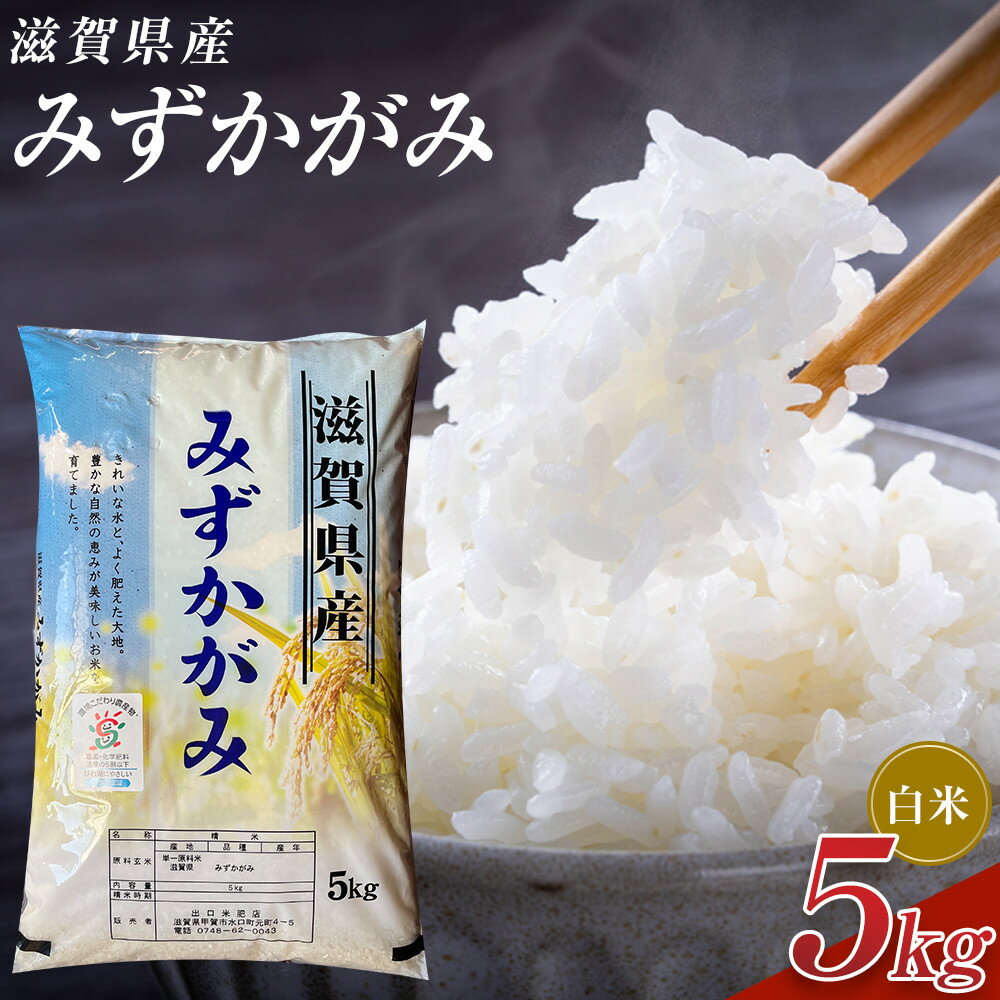 【ふるさと納税】【令和7年産】近江米みずかがみ白米5kg | お米 こめ 白米 食品 人気 おすすめ 送料無料 甲賀市 近江米
