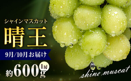 【先行予約】ぶどう シャインマスカット 晴王 600g 1房 彩美菜果《9月上旬-11月中旬頃出荷》 マスカット 送料無料 岡山県 浅口市 フルーツ 果物 贈り物 国産 岡山県産 くだもの 果物 青果物 9月～10月発送 【配送不可地域あり】（北海道・沖縄・離島）