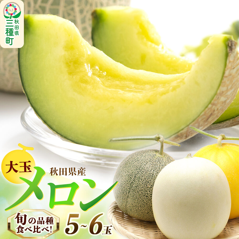 旬のメロン詰合せ 大箱 5玉～6玉 果物 フルーツ 秋田県産 [メロン 果物 フルーツ 旬 獲りたて 甘い]