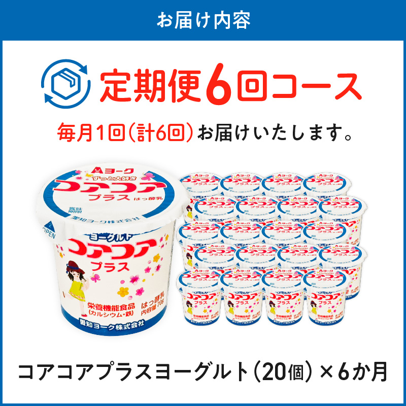 【6ヶ月定期便】愛知ヨーク　コアコアプラスヨーグルト　20個入