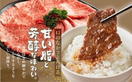飛騨牛 A5 定期便 赤身 全4回 牛肉 | 牛肉 定期便 HF108