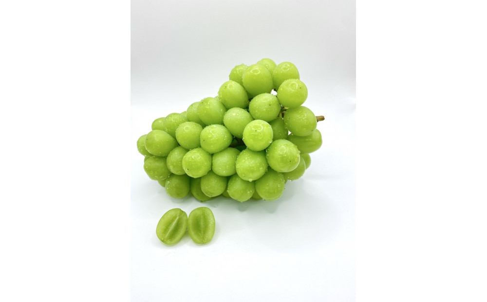 【先行予約2026年8月頃発送】大府市産　シャインマスカット1.4kg(2～3房入）