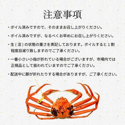 ふるさと納税 小浜市 【年末配送】越前がに (ズワイガニ)800g×3杯 |  | 03