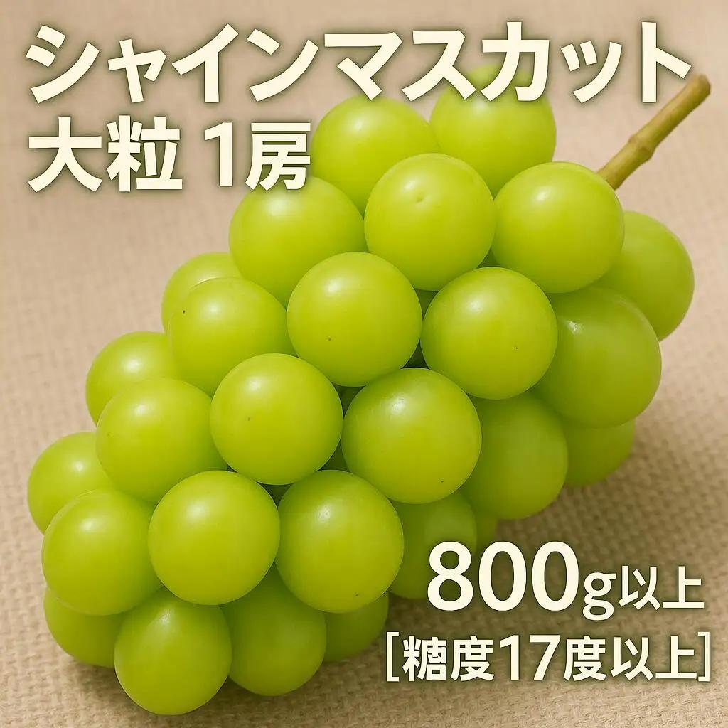 【ふるさと納税】【8月中旬より発送】シャインマスカット大粒 1房【800g以上】【糖度17度以上】