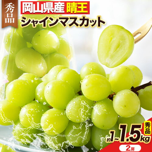 【ふるさと納税】【2025年 先行受付】 フルーツ 果物 マスカット 岡山県産 秀品 シャインマスカット ぶどう 晴王 約 1kg (2房) or 約 1.5kg（2房)《2025年8月中旬-10月末頃出荷》土方商店 岡山県 備前市 葡萄 送料無料