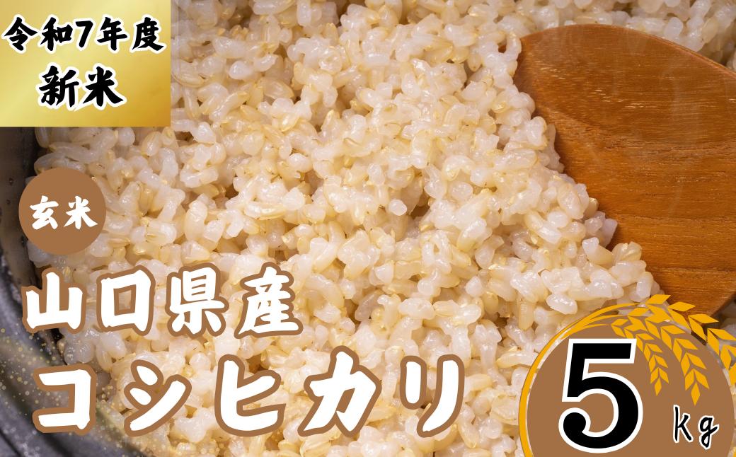 【先行予約／令和7年新米】 コシヒカリ 5Kg ［玄米］［山口県宇部産］ 【令和7年 新米 コシヒカリ 5Kg 玄米 山口県産 宇部産 地元米 農家直送 宇部市産 美味しい お米 寒暖差 霜降山麓 綺麗な水 高品質米 新鮮米 収穫直後 国産米 ご飯 炊き立て 美味しさ長持ち】