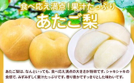あたご梨 約1.7kg【配送不可地域あり】梨 なし