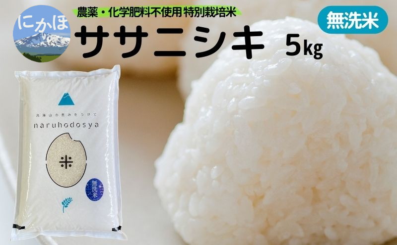 新米予約 栽培期間中 農薬・化学肥料不使用 【無洗米】特別栽培米ササニシキ5kg×1 令和7年産 秋田県 にかほ市 お米 米 こめ