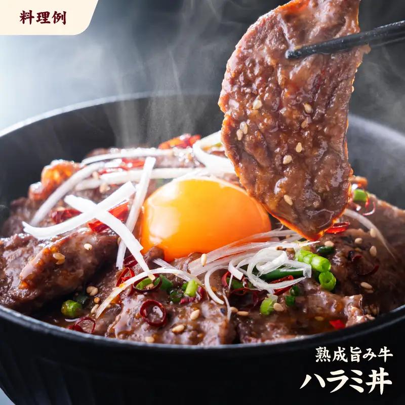 【ハラミ】 熟成旨み牛やわらかハラミカット 3kg はらみ 愛媛県 松山市 【NGB0031】