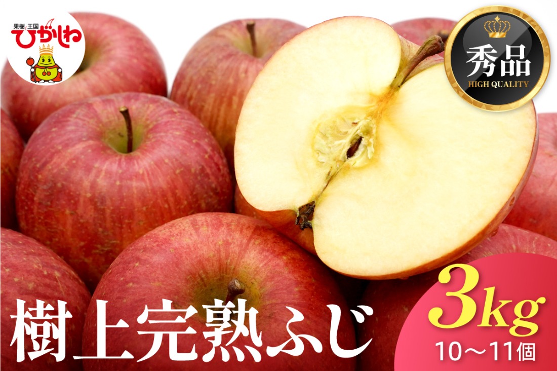 【2026年産】 樹上完熟ふじりんご 秀品 3kg 化粧箱 （10、11個詰め） 山形県 東根市 JA提供 hi001-050