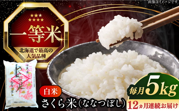 
                  【全12回定期便】【令和7年産】【特A】一等米 さくら米（ななつぼし）5kg《厚真町》【とまこまい広域農業協同組合】  米 定期便 1年 12ヵ月 毎月 お米 こめ 白米 ななつぼし  一等米 北海道 令和7 R7 [AXAB007]
                