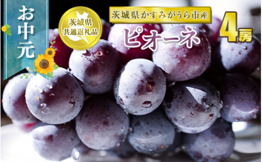 お中元 ピオーネ 4房【茨城県共通返礼品 かすみがうら市】　※2024年8月上旬～中旬頃に順次発送予定