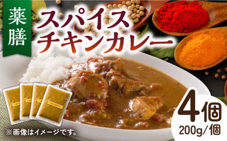 【こだわりの玉ねぎと32種のスパイス！】 薬膳スパイス チキンカレー /自然庵 [UCQ001] カレー レトルトカレー 鶏肉 鶏 チキン