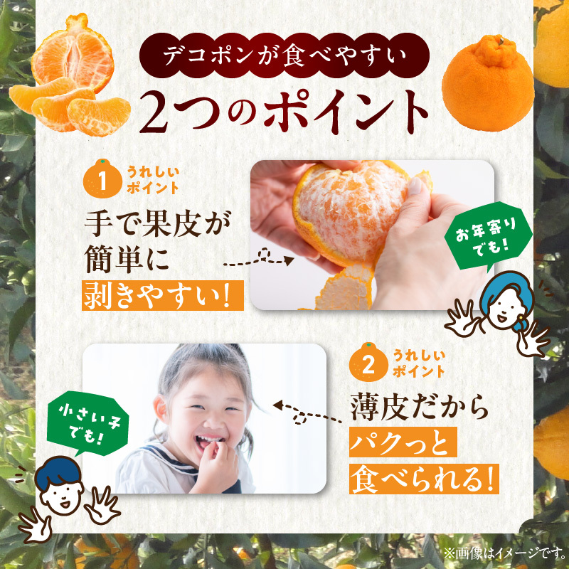 BD7008_【2026年先行予約】和歌山有田産 デコポン秀品のみ！ 2.5kg（9～12玉）_イメージ4