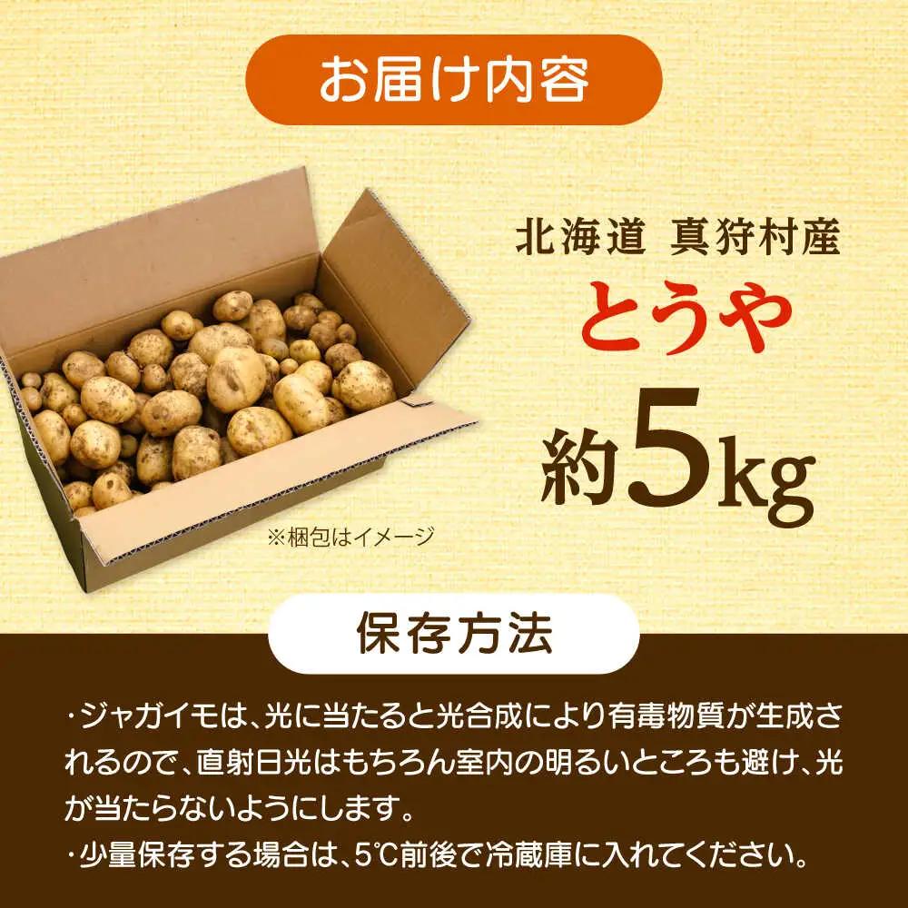 【先行予約】じゃがいも とうや 5kg [BPAM017] じゃがいも 北海道