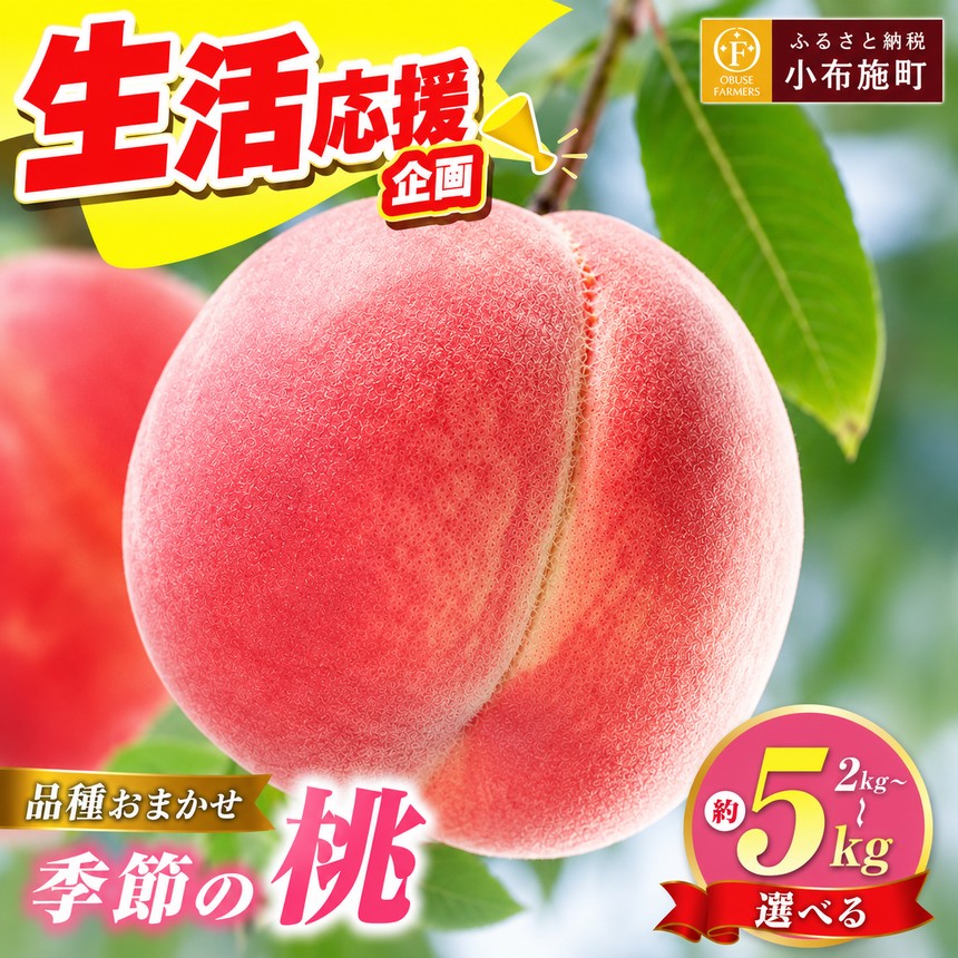 【ふるさと納税】桃 もも 季節の桃 約2kg 約3kg 約5kg 選べる 内容量［ おぶせファーマーズ ］ モモ ピーチ フルーツ 果物 あかつき 川中島白鳳 なつっこ 川中島白桃 黄金桃 だて白桃 先行予約 長野県産 クール便 冷蔵便 産地直送 令和8年産【2026年7月中旬～9月中旬発送】