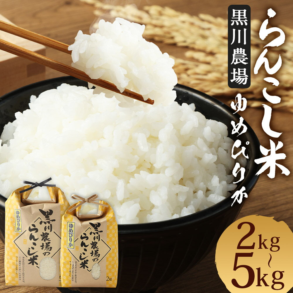 【ふるさと納税】〈令和7年産〉 らんこし米 ゆめぴりか【黒川農場】 2kg/5kg 選べる内容量 お米 白米 精米 令和7年産 北海道産 送料無料