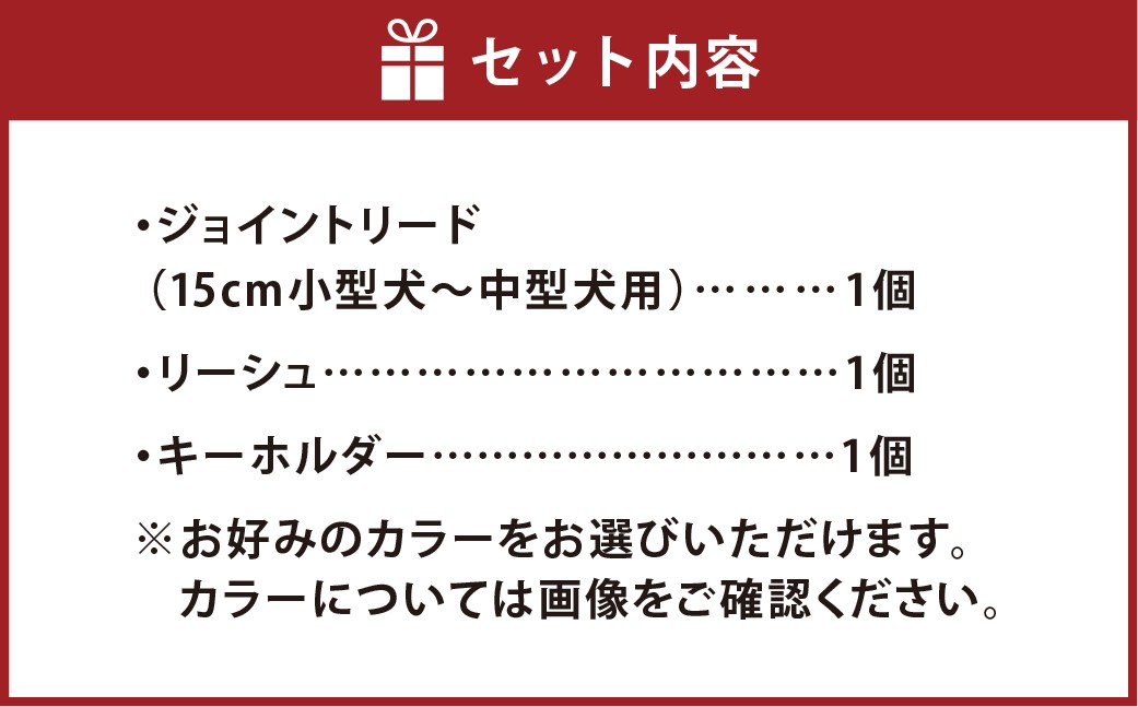 ジョイントリード（フラワー）＆愛犬さんと飼主さんを繋ぐリーシュ（サブ持ち手）セット