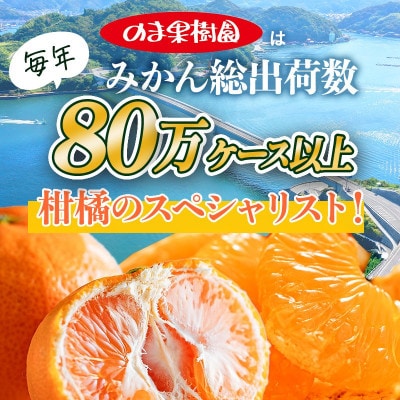 のま果樹園の愛媛みかん(約3kg)バラ詰め【1759295】